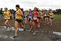 2010NCSXC GD2-2243